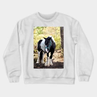 Drum horse Crewneck Sweatshirt